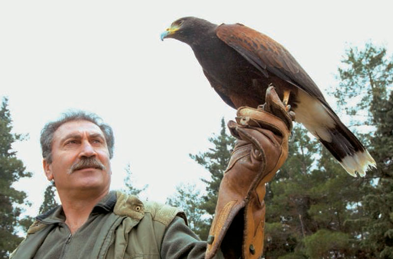 Πάρκο Αρπακτικών Πτηνών